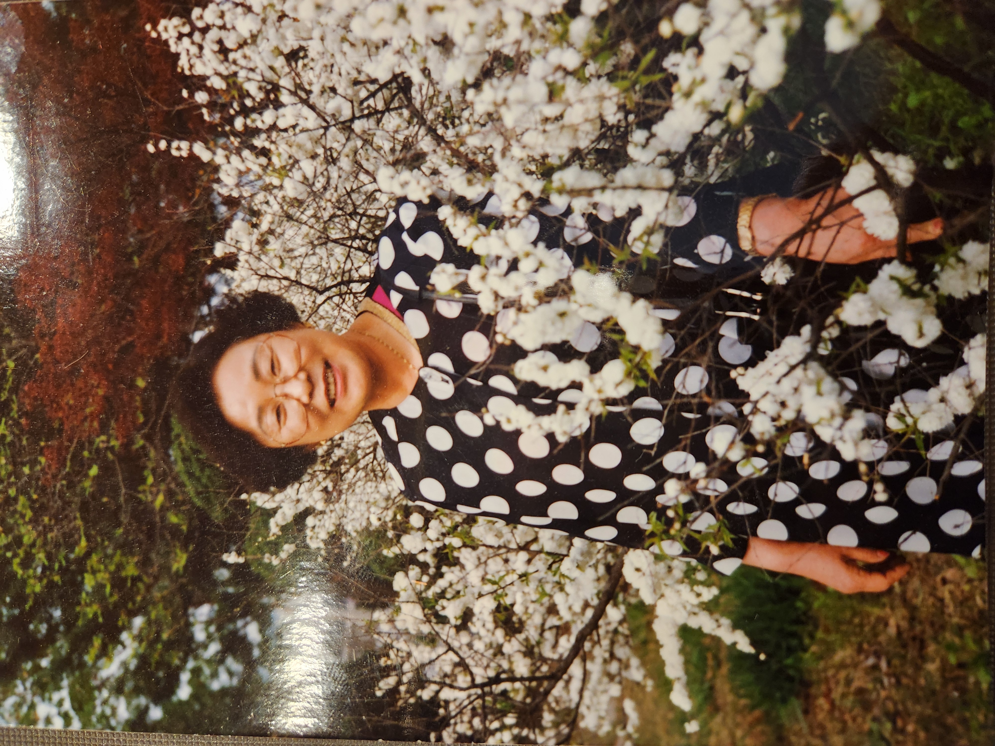 보고 싶은 엄마