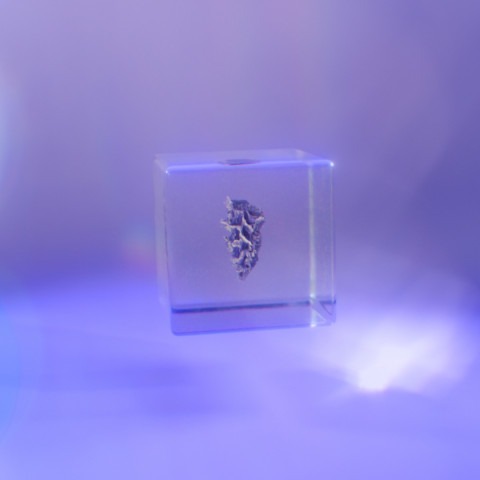 981661.jpg