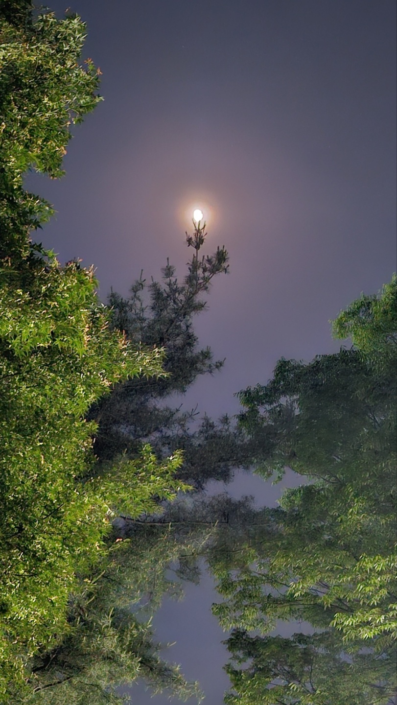희망의 메세지의 밝은 달빛