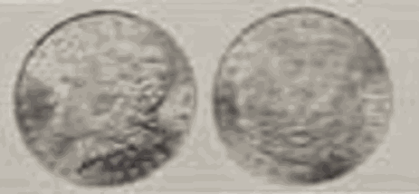 1900 PROOF Morgan Silver Dollar $1